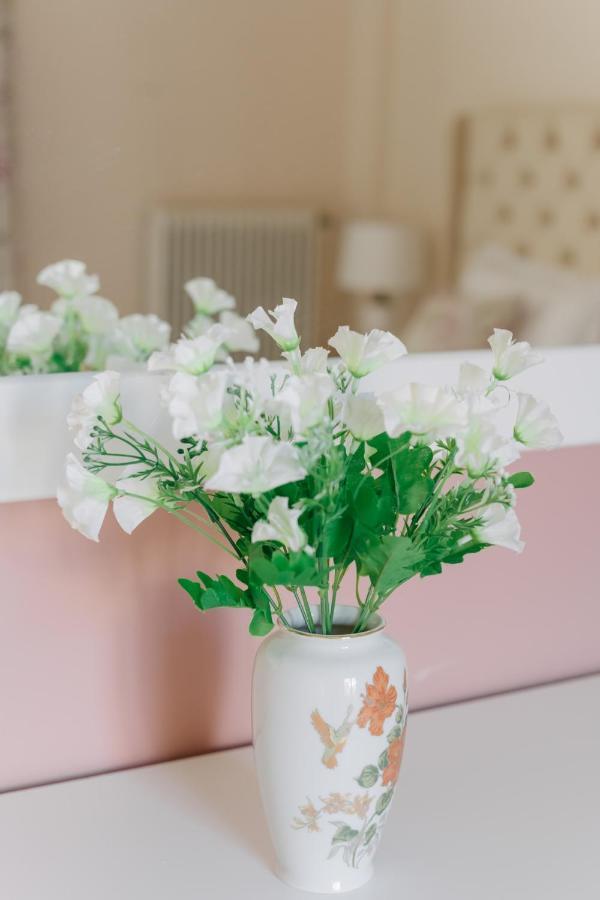 House, Psila Alonia Square Luxury, Apartment Patras